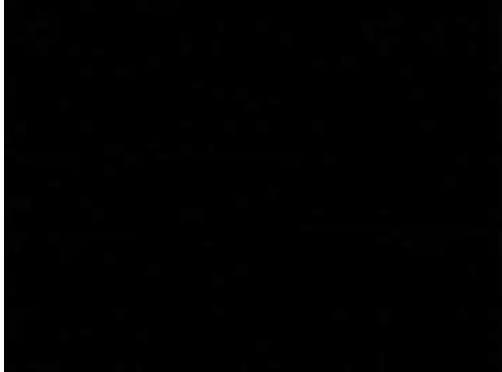 Hazard Perception Test - Clip 37